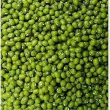 BATANI GREEN BATANI GREEN...