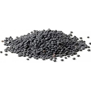 SABJA SEEDS SABJA SEEDS...