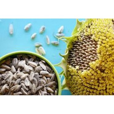 SUNFLOWER SEEDS SUNFLOWER SEEDS...